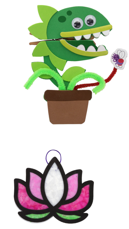 Venus Flytrap/ Lotus Flower